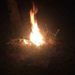 Meet your Posher, Jude